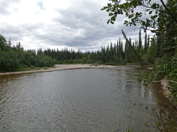 BLM Cripple Creek, Fairbanks, AK GPS, Campsites, Rates
