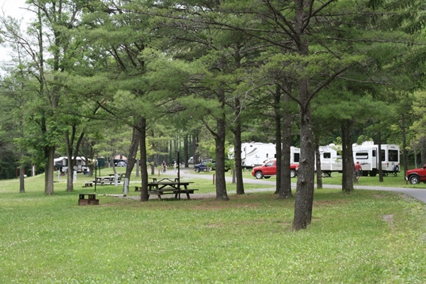 Little Pine State Park, Waterville, PA - GPS, Campsites ...