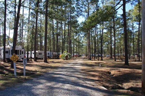 New Green Acres RV Park, Walterboro, SC - GPS, Campsites ...