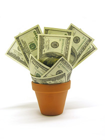 Flower pot containing money