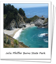 Julia Pfeiffer Burns State Park 
