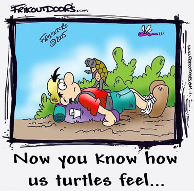 Turtle standing on guy's stomach, who apparently fell on top of his backpack Turtle standing on guy's stomach, who apparently fell on top of his backpack