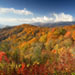 Yellow, red, green fall foliage at Great Smoky Mountains National Park