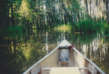 the pearl canoe
