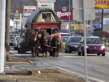 Horse drawn wagon on busy road
