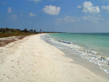 White sand beach at Bahia Honda State Park