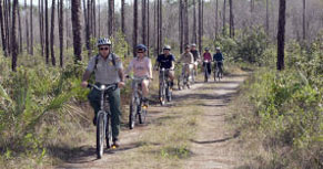 People bike riding the Long Pine Key Trail