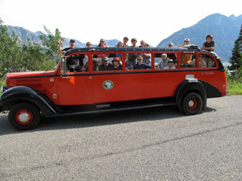 Red Bus Tour in Glacier National Park