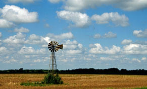 Windmill in wheat field, Oklahoma