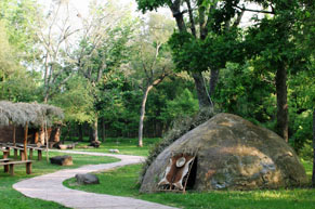 Native American huts nestled under trees