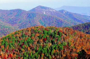 Fall colors at Shenandoah National Park from Big Run Overlook