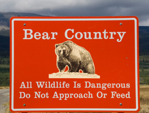 Sign warning of bears