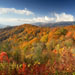 Fall in Great Smoky Mountains NP