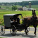 Horse and buggy in Amish Country