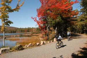 Bikers riding in the fall on the carriage road in Acadia National Park