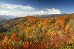 Yellow, red, green fall foliage at Great Smoky Mountains National Park