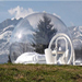 BubbleTree tent with mountains behind