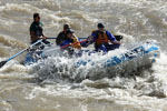 Couple whitewater rafting on the San Juan River, Colorado
