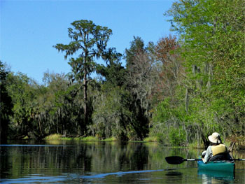 Canoeing at Alafia River State Park