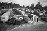 Rows of trailers at Tin Can Tourists 1949 convention in Tampa Florida