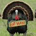 Turkey with an Eat Ham sign hanging from its neck