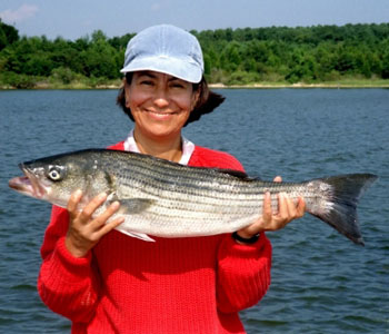 Woman holding a striped bass