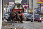 Horse drawn wagon on busy road