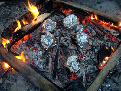 Cooking in Foil