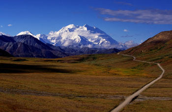 Road leading to Mt McKinley Alaska