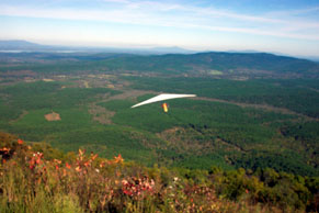 Hang glider soaring over green valley
