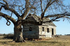 Old wooden house with tree on prairie