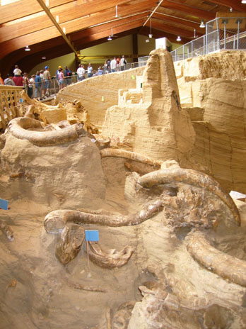 Mammoth bones being excavated at Mammoth Site, Hot Springs, SD
