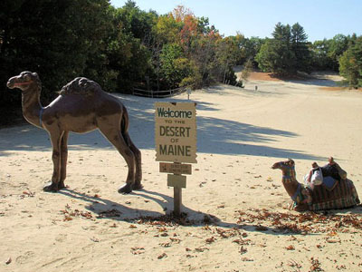 Camel statues and welcome sign in the Desert of Maine