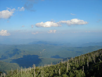 View from Mount Mitchell State Park, highest point East of the Mississippi River