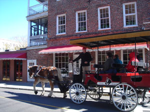 Horse drawn carriage, Charleston, South Carolina