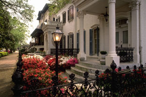 Row of colonial houses in Savannah