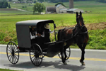 Horse and buggy in Amish Country
